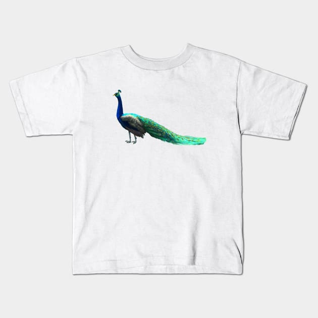 Peacock Kids T-Shirt by PeggyNovak